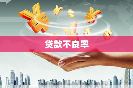 沙洋贷款不良率