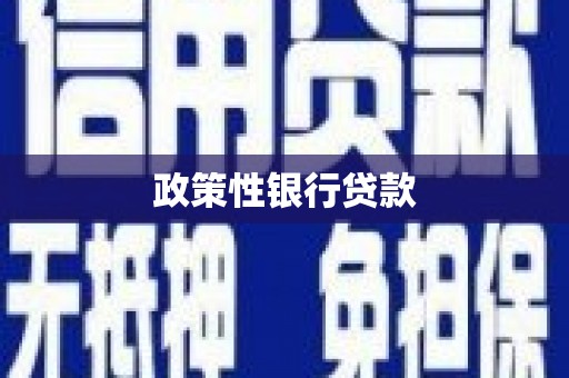 沙洋政策性银行贷款