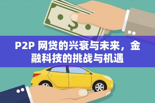 沙洋P2P 网贷的兴衰与未来，金融科技的挑战与机遇