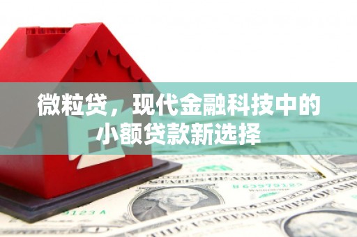 沙洋微粒贷，现代金融科技中的小额贷款新选择