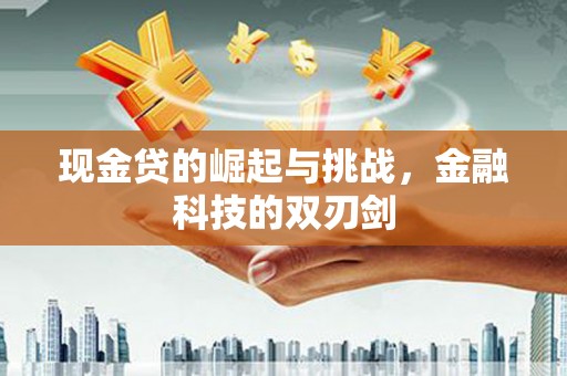 沙洋现金贷的崛起与挑战，金融科技的双刃剑