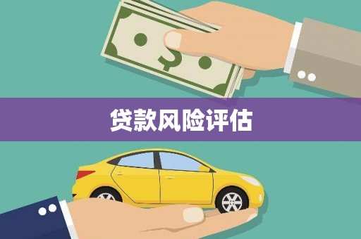 沙洋贷款风险评估