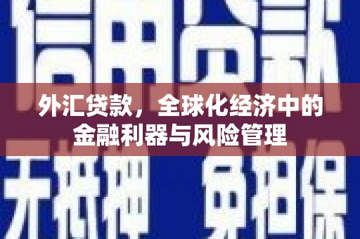 沙洋外汇贷款，全球化经济中的金融利器与风险管理