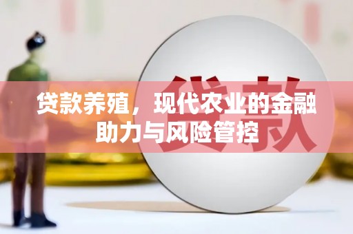 沙洋贷款养殖，现代农业的金融助力与风险管控