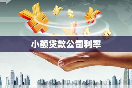 沙洋小额贷款公司利率