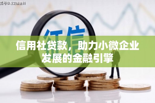 沙洋信用社贷款，助力小微企业发展的金融引擎