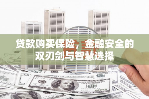 沙洋贷款购买保险，金融安全的双刃剑与智慧选择