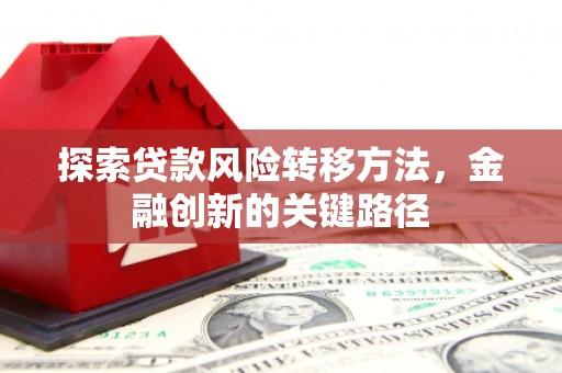 沙洋探索贷款风险转移方法，金融创新的关键路径