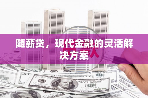 沙洋随薪贷，现代金融的灵活解决方案