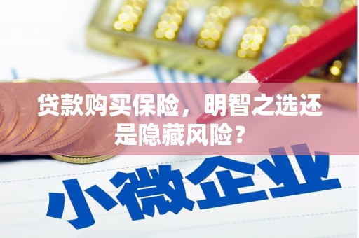 沙洋贷款购买保险，明智之选还是隐藏风险？