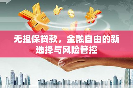 沙洋无担保贷款，金融自由的新选择与风险管控