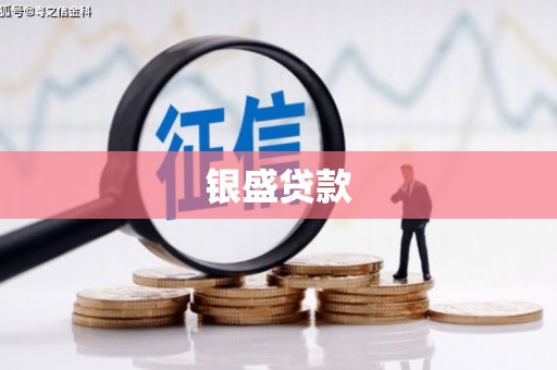 沙洋银盛贷款