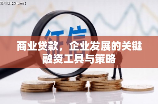 沙洋商业贷款，企业发展的关键融资工具与策略