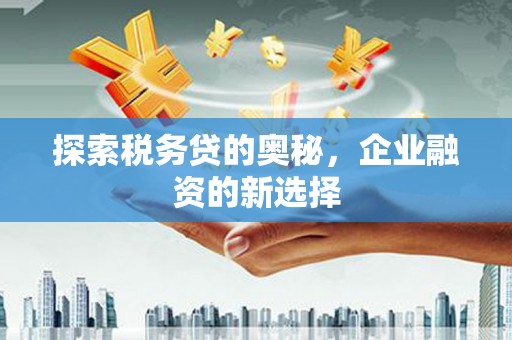 沙洋探索税务贷的奥秘，企业融资的新选择