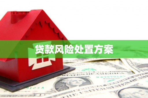 沙洋贷款风险处置方案