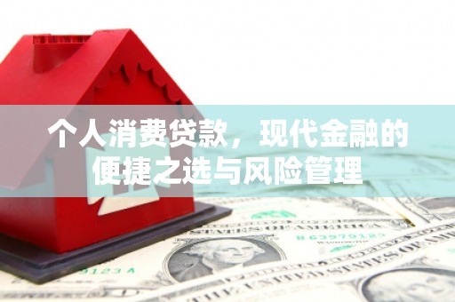 沙洋个人消费贷款，现代金融的便捷之选与风险管理