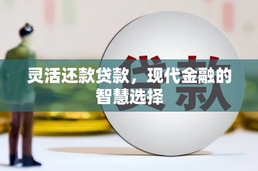 沙洋灵活还款贷款，现代金融的智慧选择
