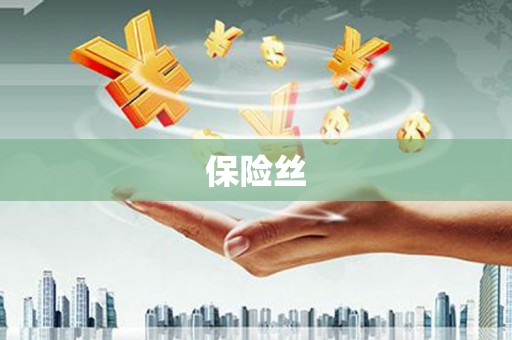 沙洋保险丝