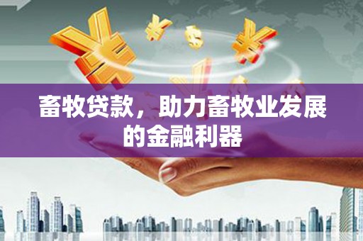 沙洋畜牧贷款，助力畜牧业发展的金融利器