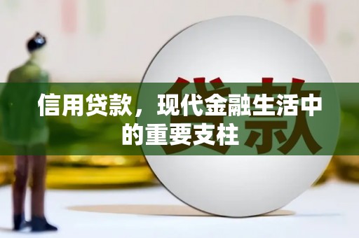沙洋信用贷款，现代金融生活中的重要支柱