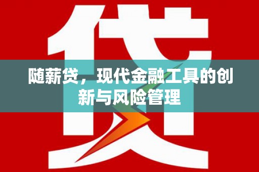 沙洋随薪贷，现代金融工具的创新与风险管理