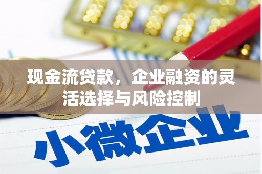 沙洋现金流贷款，企业融资的灵活选择与风险控制