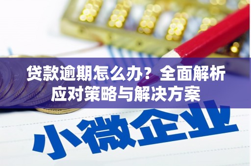 沙洋贷款逾期怎么办？全面解析应对策略与解决方案