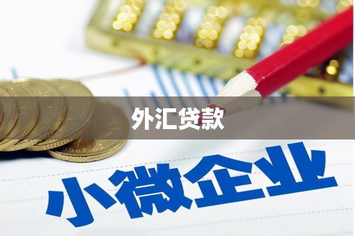 沙洋外汇贷款