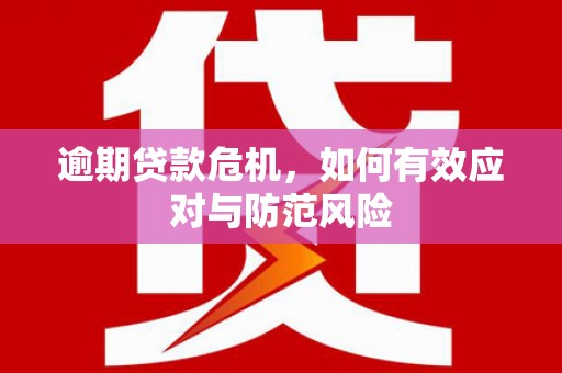 沙洋逾期贷款危机，如何有效应对与防范风险
