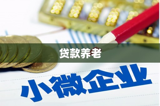 沙洋贷款养老