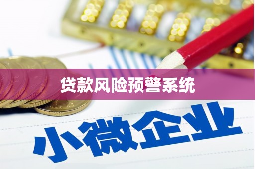 沙洋贷款风险预警系统