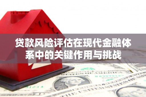沙洋贷款风险评估在现代金融体系中的关键作用与挑战