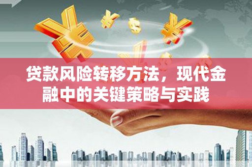沙洋贷款风险转移方法，现代金融中的关键策略与实践