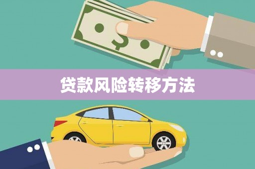 沙洋贷款风险转移方法