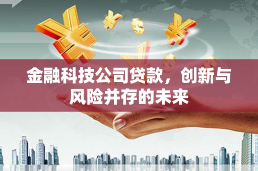 沙洋金融科技公司贷款，创新与风险并存的未来
