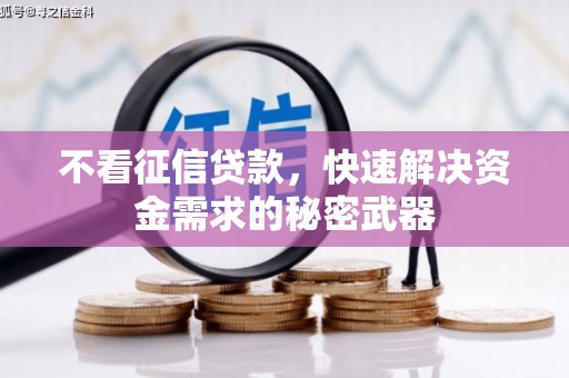 沙洋不看征信贷款，快速解决资金需求的秘密武器