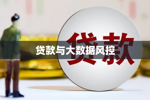 沙洋贷款与大数据风控