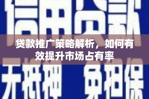 沙洋贷款推广策略解析，如何有效提升市场占有率