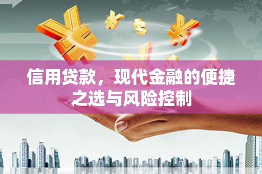 沙洋信用贷款，现代金融的便捷之选与风险控制