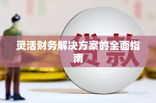 沙洋灵活财务解决方案的全面指南
