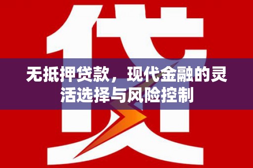 沙洋无抵押贷款，现代金融的灵活选择与风险控制