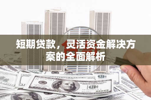 沙洋短期贷款，灵活资金解决方案的全面解析