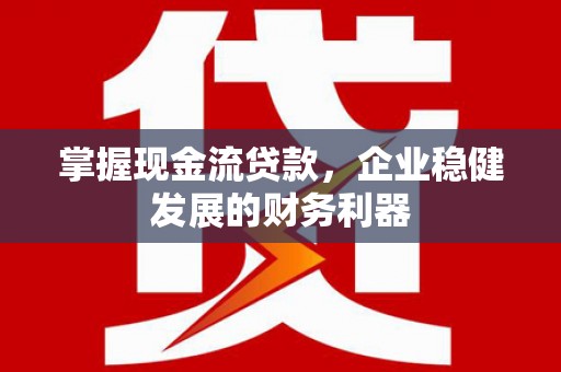 沙洋掌握现金流贷款，企业稳健发展的财务利器