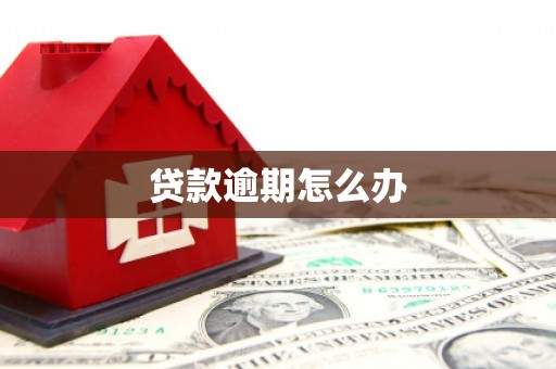 沙洋贷款逾期怎么办