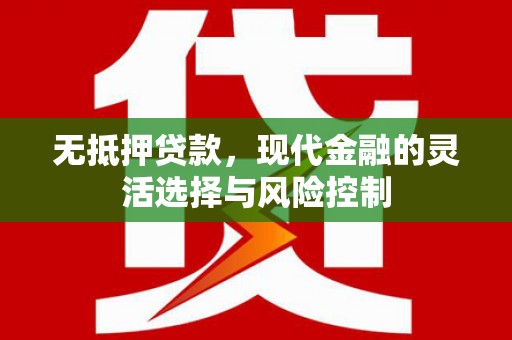 沙洋无抵押贷款，现代金融的灵活选择与风险控制