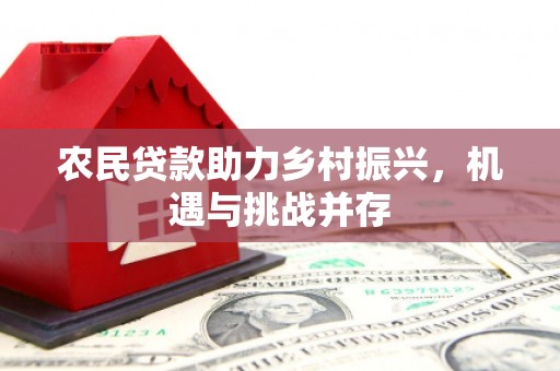 沙洋农民贷款助力乡村振兴，机遇与挑战并存