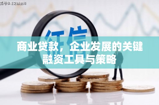 沙洋商业贷款，企业发展的关键融资工具与策略