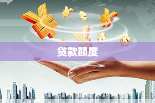 沙洋贷款额度