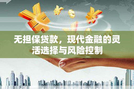 沙洋无担保贷款，现代金融的灵活选择与风险控制