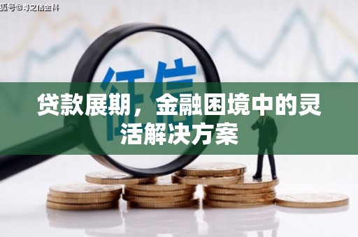 沙洋贷款展期，金融困境中的灵活解决方案